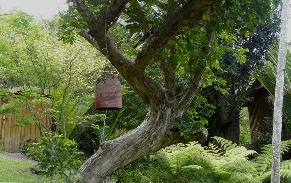 Dharma Gaia Center of Mindful Living