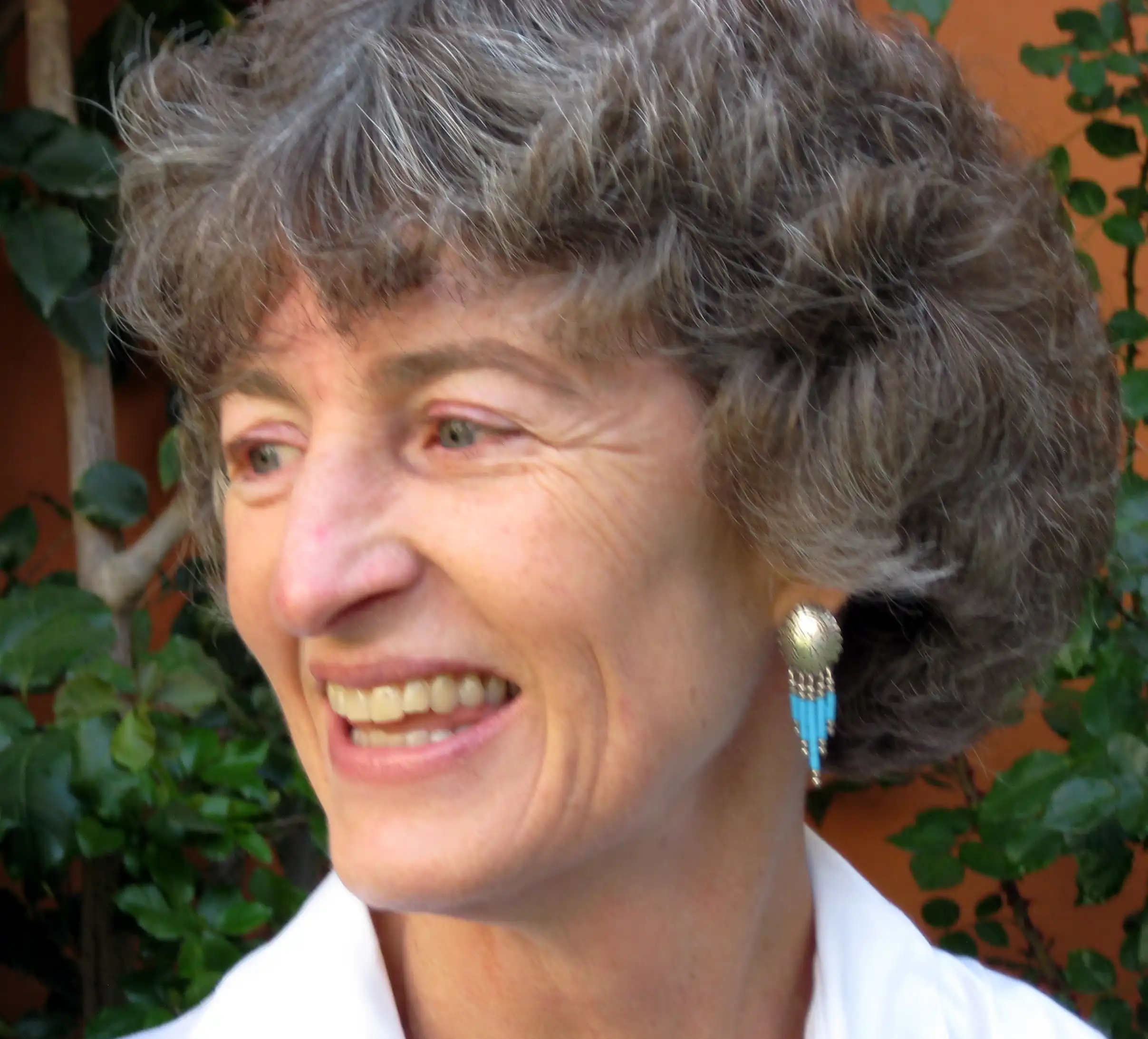 Insight Meditation Houston