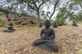 Mountain Stream Sangha