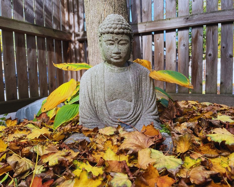 Cambridge Insight Meditation Center