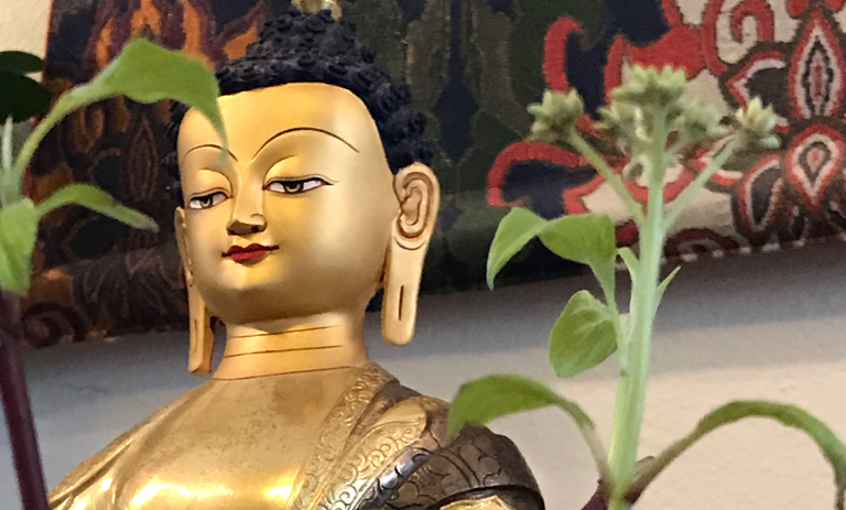 Princeton Shambhala Meditation Group