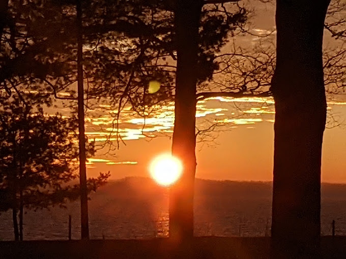 Traverse City Mindfulness Meditation Group