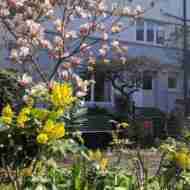 Sakya Dechen Ling buddhistisches Zentrum Stuttgart