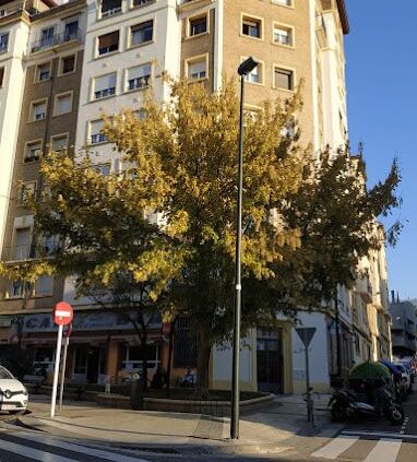 Thich Nhat Hanh Sangha de Zaragoza