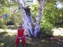 Dzogchen Community Tseyalgar