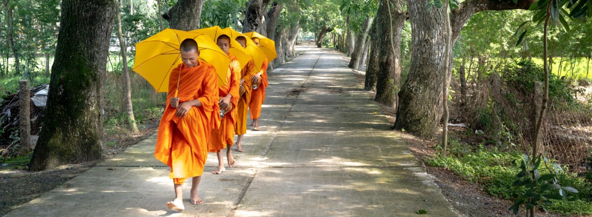 These Kind of Dhamma Dudes Could Illuminate the Mossy Alder Tree Wood