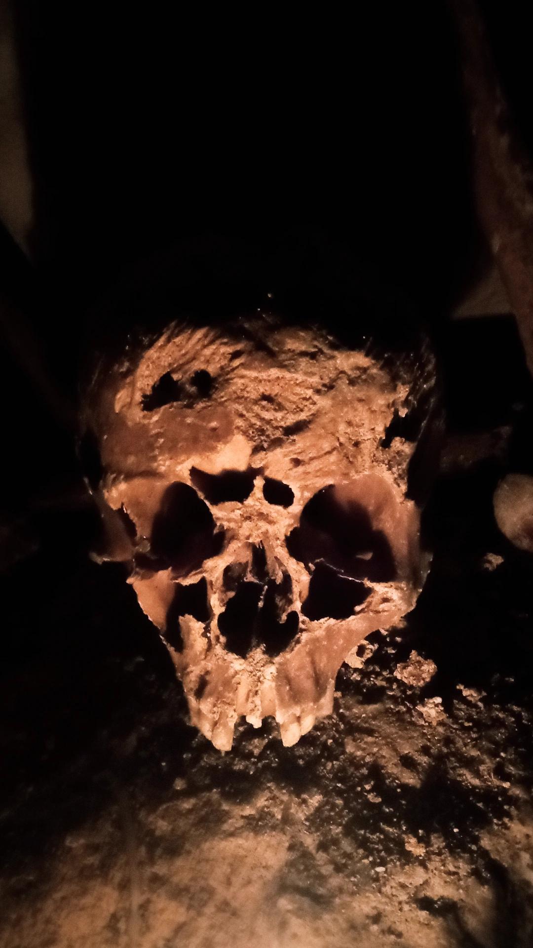 The tales from the Crypt