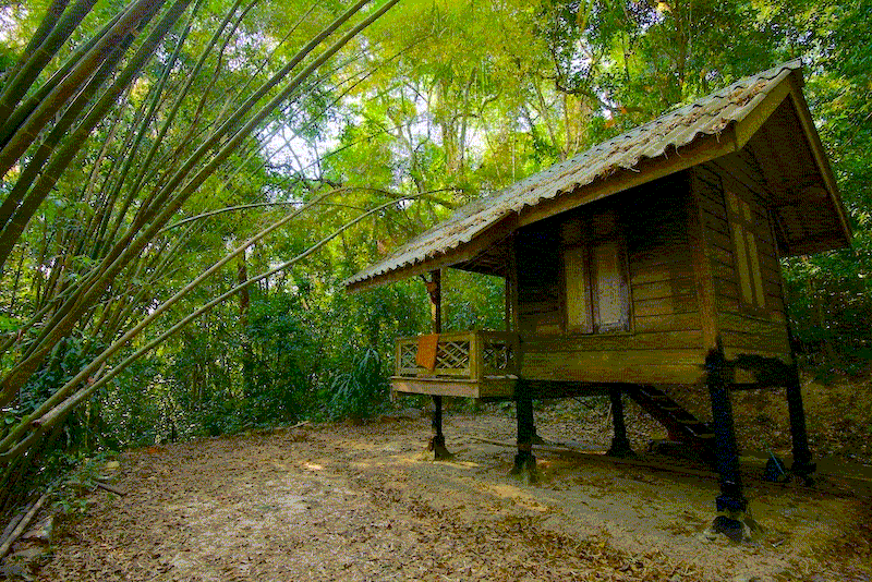 “Now what is unskillful?